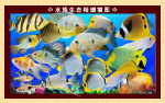 海底世界
