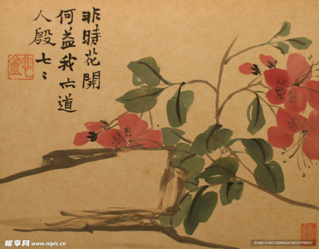 花草
