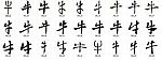 牛 书法字