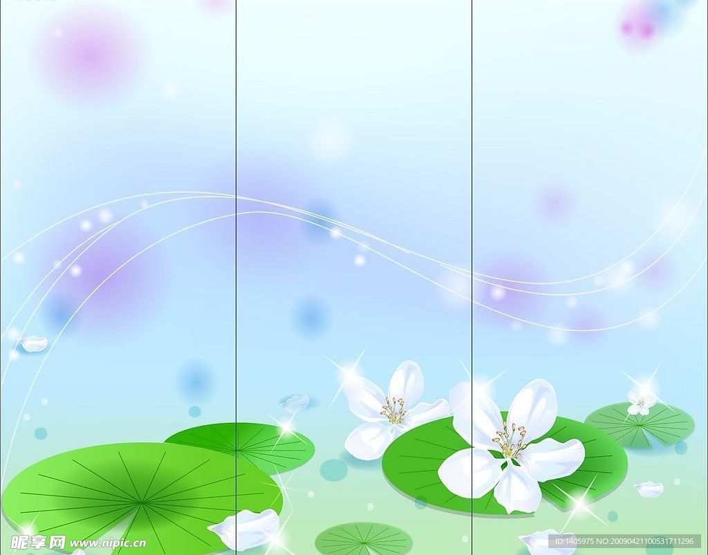 白色荷花