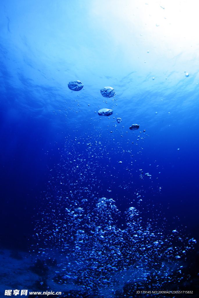 大海