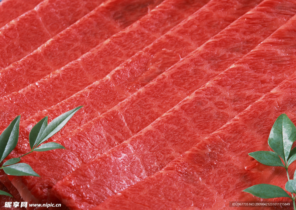 鲜肉