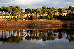 landscapes 風景