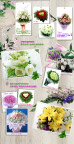 鲜花海报