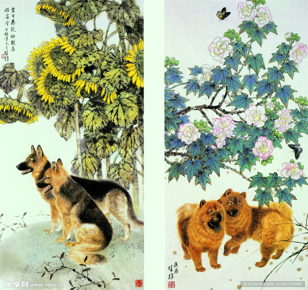 芙蓉双犬