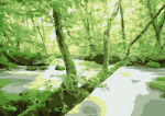 森林山涧溪流矢量