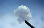 雪花特写