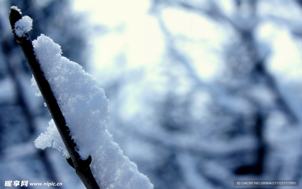 雪花特写