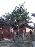 泰山景色