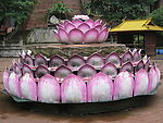 莲花