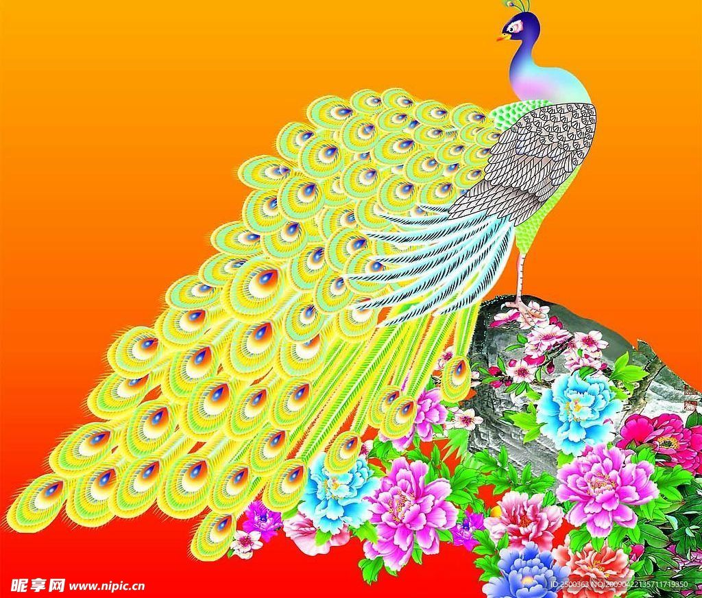 孔雀