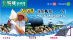 亿家能太阳能