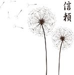 蒲公英的信赖