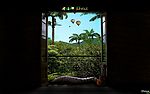 Audio Jungle 音乐与自然