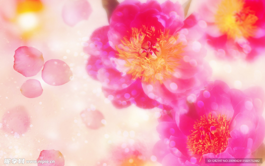 花朵背景