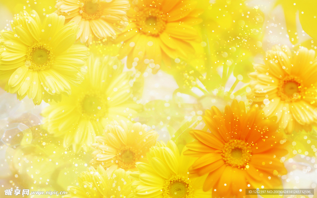 花草背景