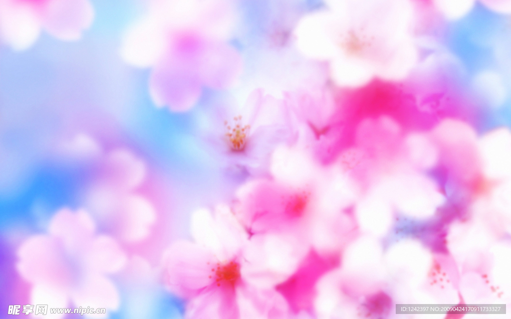 花草背景