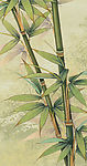 国画茶杆竹