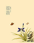 兰花