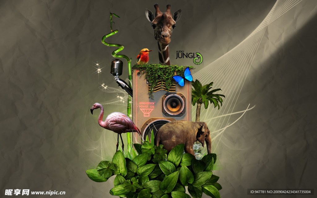 Audio Jungle 音乐与自然