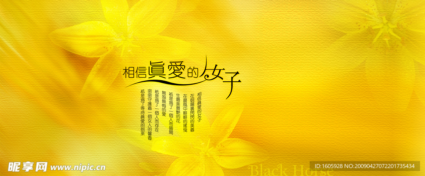 婚纱摄影模板