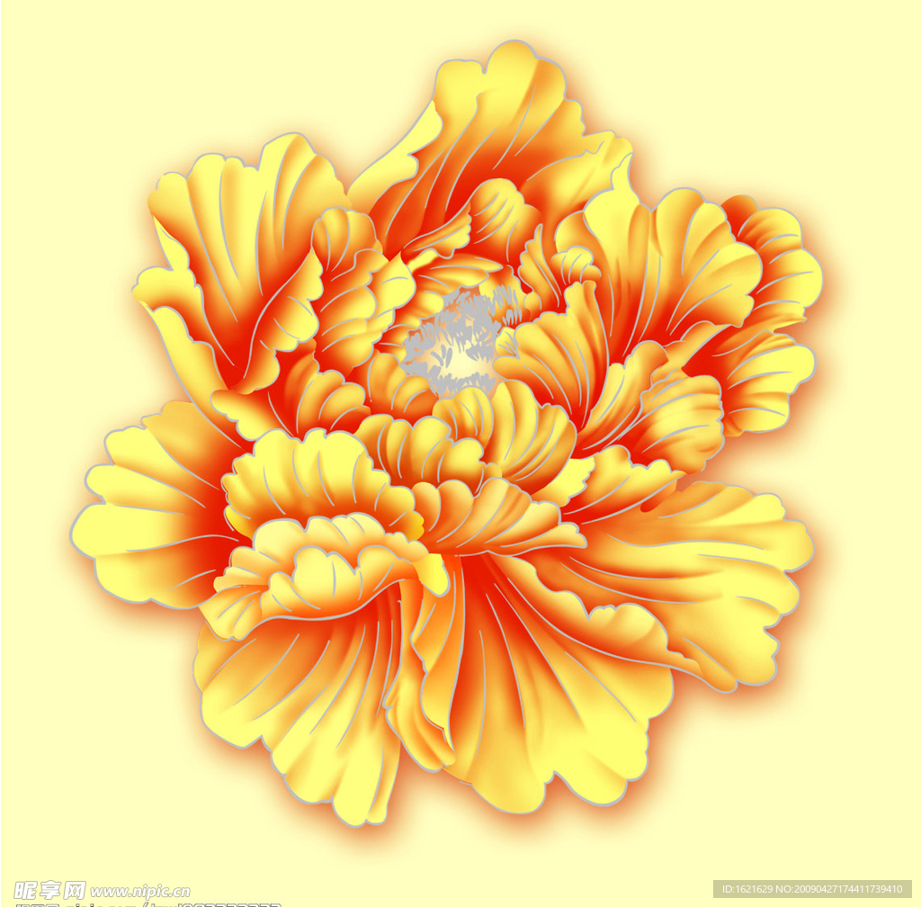 八月荷花