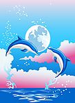 海豚