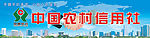 中国农村信用社06