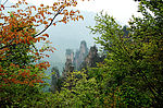 山中美景