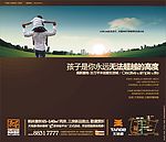 天地源枫林意树华商报