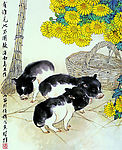 小黑猪
