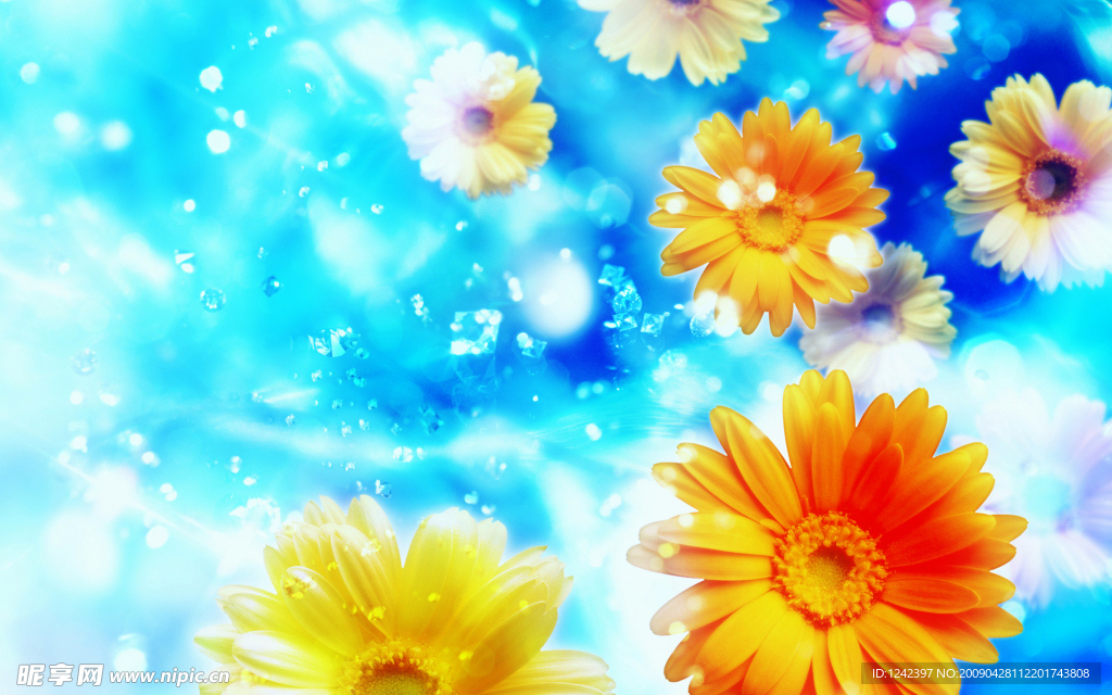 花朵背景
