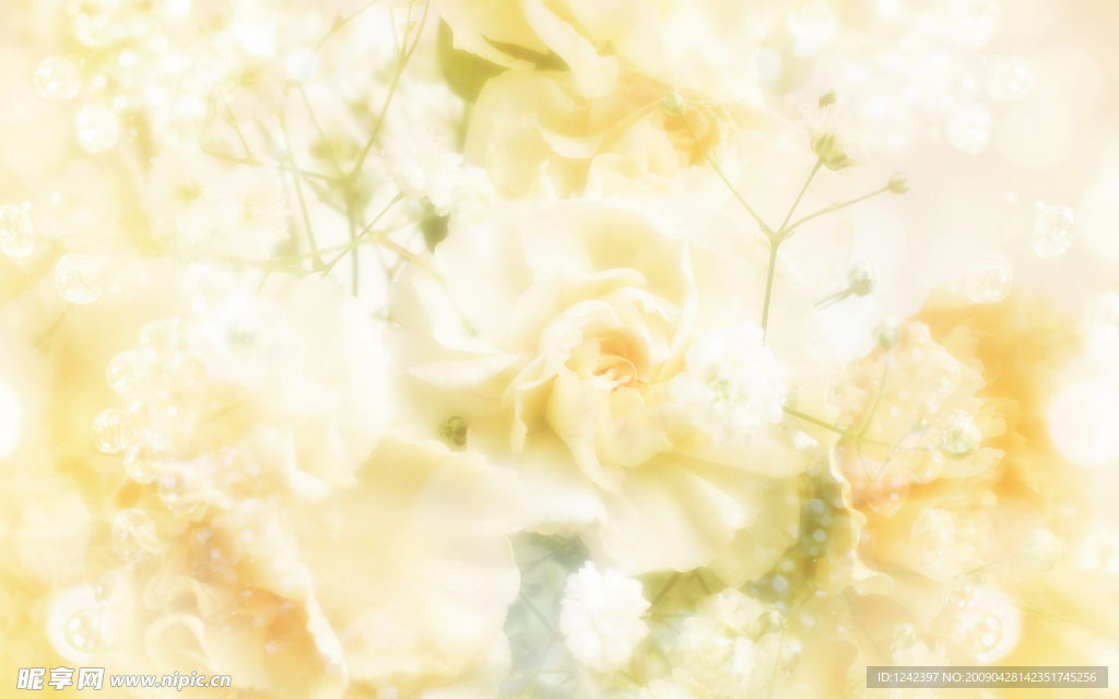 花朵背景