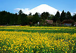 日本富士山