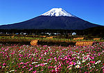 日本富士山