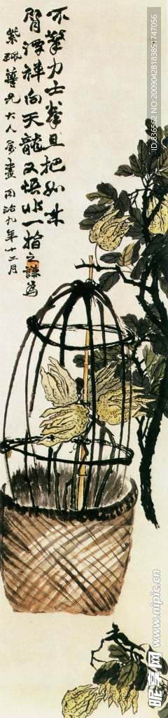 花卉系列
