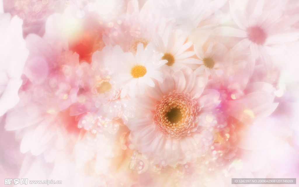 花朵背景