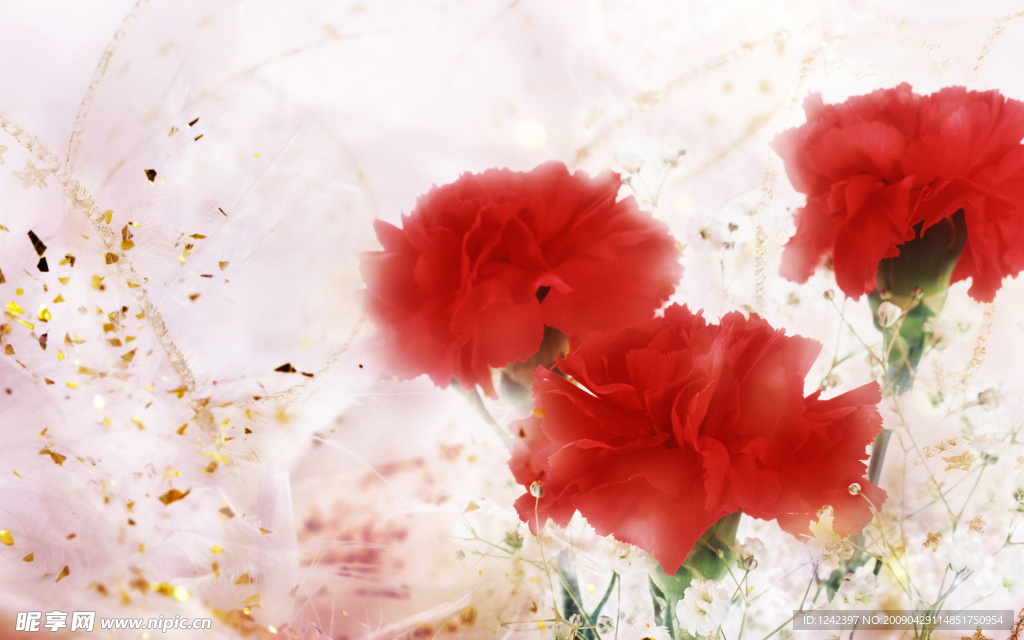 花朵背景