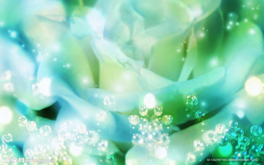 花草背景