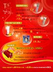 彩页反