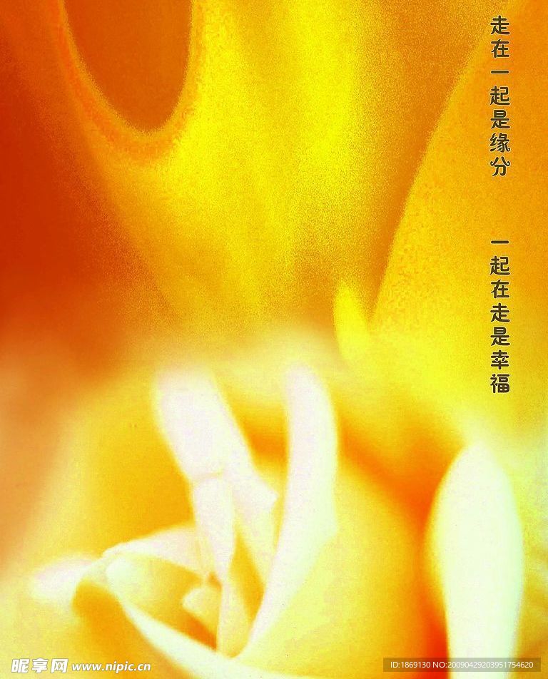 婚庆背景