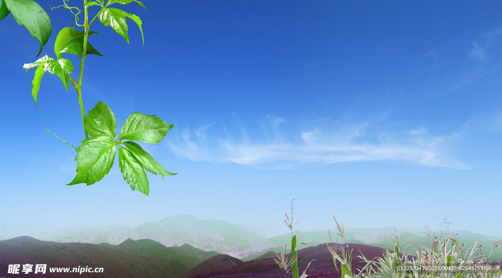 风景画
