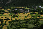 田园风光