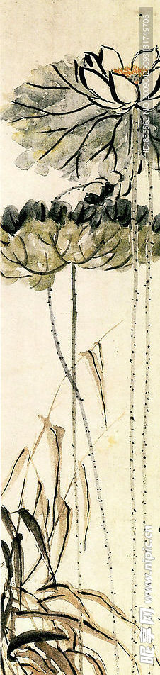 花卉系列