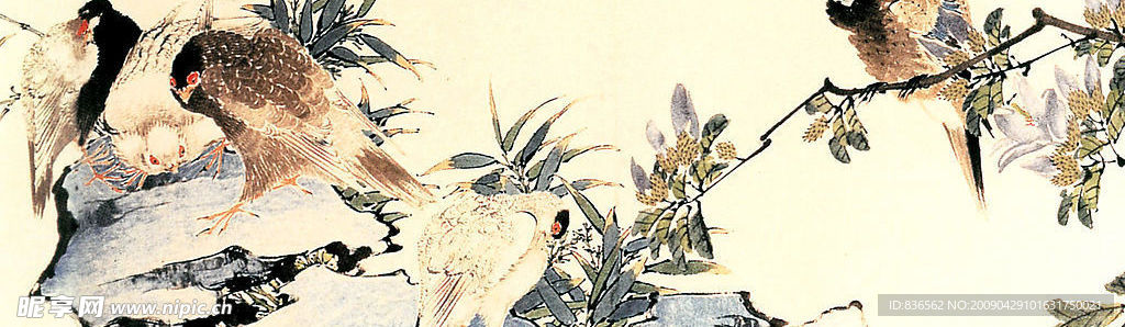 花卉系列