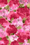 韩国精美花纹
