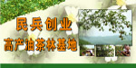 油茶林基地