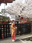 日本