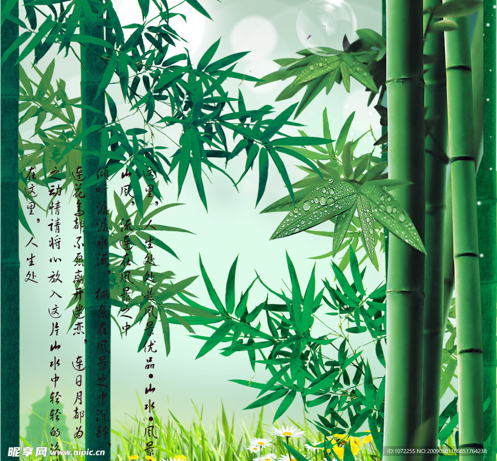 竹林