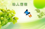 动人葡萄